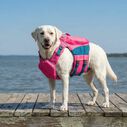 Monterey Bay Offshore Pet Life Jackets image number 3