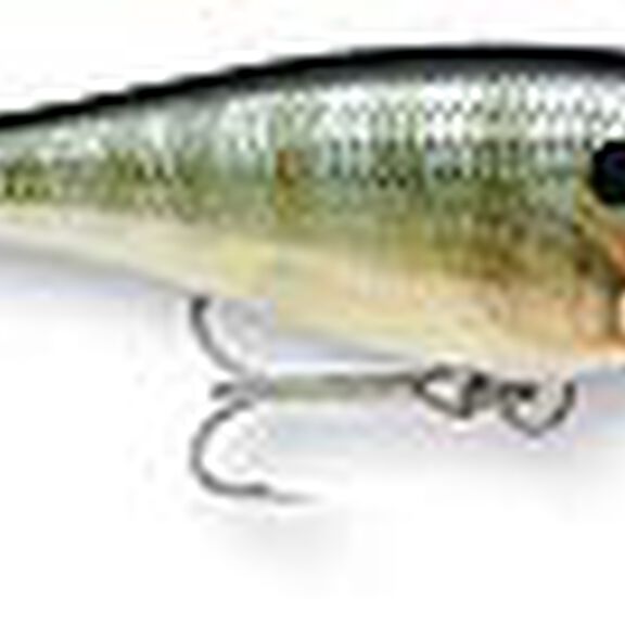 Super Shad Rap 14 image number 12