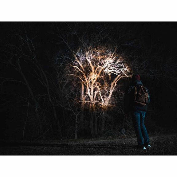 Newton 500 Lumen LED Handheld Flashlight image number 3