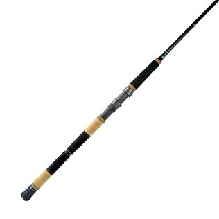ECS Custom Spinning Rods