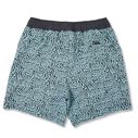 Men's Leiday Printed Swim Trunks image number 1