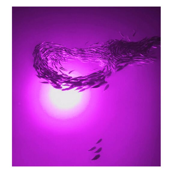Mega-Watt Underwater Color LED Lighting System image number 5