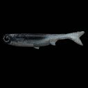 K-Tail Swimbaits image number 0