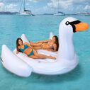 The Biggest Giant Swan image number 3