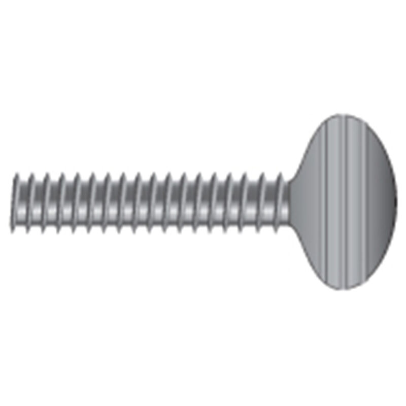 1/4-20 X 1/2" Stainless Steel Thumb Screws, 10-Pack image number 0