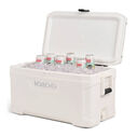 Marine Elite Coolers, White image number 2