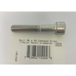 Side-Power Bolt, M8 x 45, allen cap head | for motor mount w/adapter 125mm