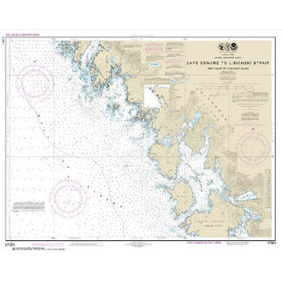 #17321 Cape Edward to Lisianski Strait Chichagof Island