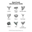 Shark Marine Life Playing/Tracking Cards, 1st Edition image number 6