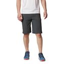 Men's Silver Ridge&trade; Cargo Shorts image number 0