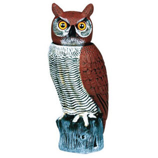 Rotating-Head Owl Decoy