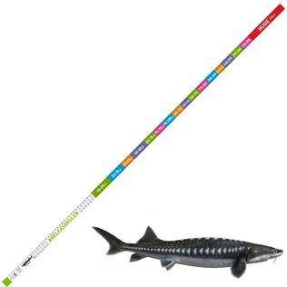 Sturgeon Release Ruler 120in x 2in