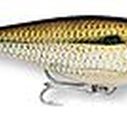 Super Shad Rap 14 image number 10