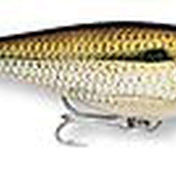 Super Shad Rap 14 image number 10