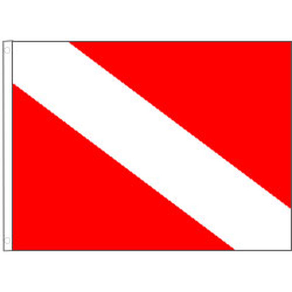 Diver Down Flag image number 0