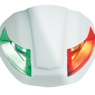 LED Bi-Color Light