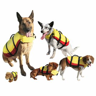 Deluxe Pet Life Jackets