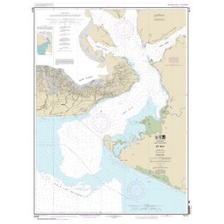 #16741 Icy Bay