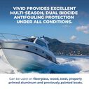 ViViD Antifouling Paint, Black, Gallon image number 1