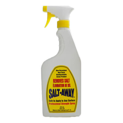 Professional Strength Salt-Removing Spray, 16 oz. Bottle