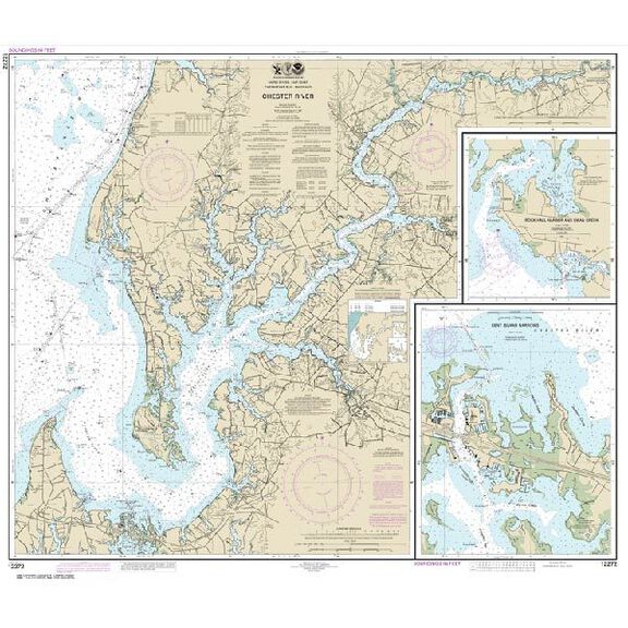 #12272 Chester River Kent Narrows Rock Hall Harbor Swan image number 0