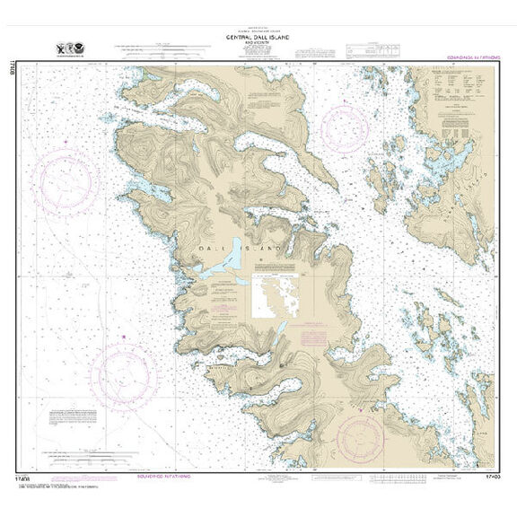 #17408 Central Dall Island & Vicinity image number 0