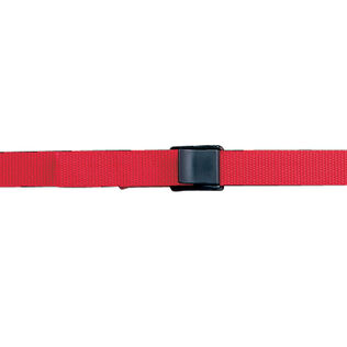 1" Cam Buckle