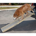 PetSTEP&reg; II Multi-Purpose Pet Ramp image number 1