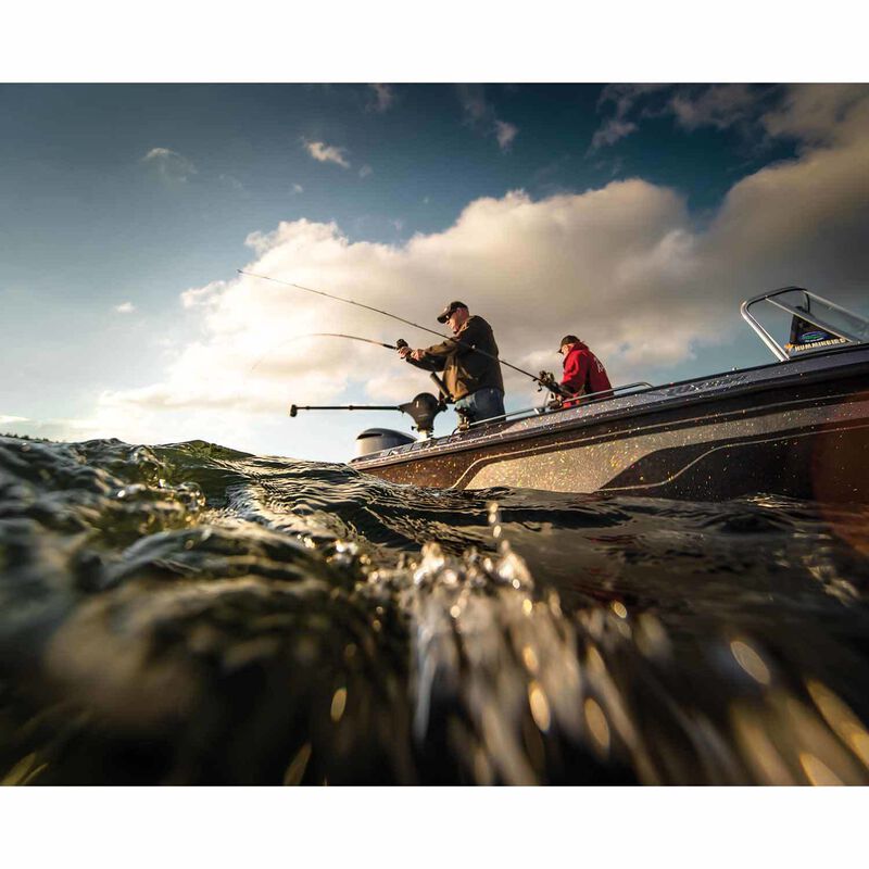 CANNON Lake Troll Downrigger West Marine