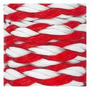 3/8" x 10' Utility Line, Hollow Braid Polypropylene, Red / White image number 1