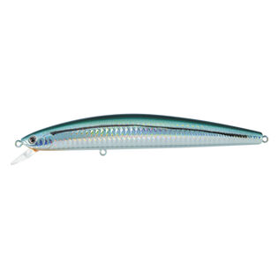 Salt Pro Minnow Fishing Lure, 6"