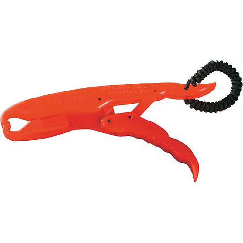 Norton Fish Grip, Orange image number 0