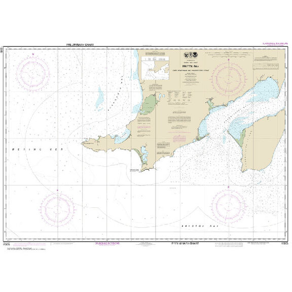 #16305 Bristol Bay Cape Newenham & Hagemeister Strait image number 0