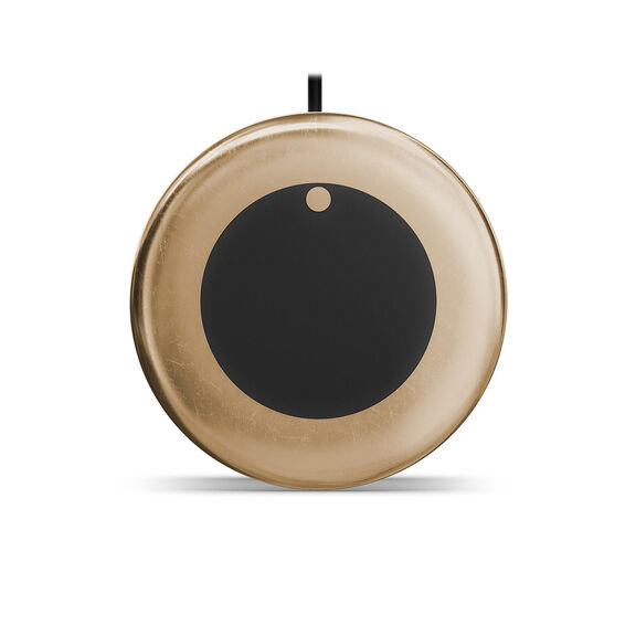 GT12M-THF Bronze Transducers image number 1