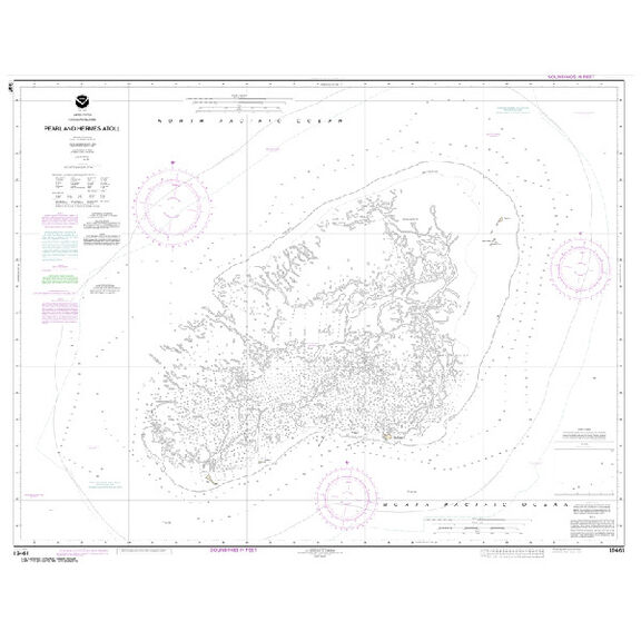#19461 Pearl & Hermes Atoll image number 0