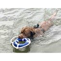 Fetch Ring Dog Toy image number 3