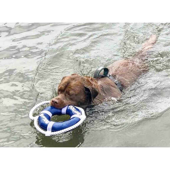 Fetch Ring Dog Toy image number 3
