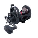 Warfare WAR30 Star Drag Conventional Reel image number 0
