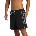 Men's Everyday Vert Volley Shorts image number 1