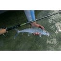 7' Triumph Inshore Spinning Rod, Heavy Power image number 6
