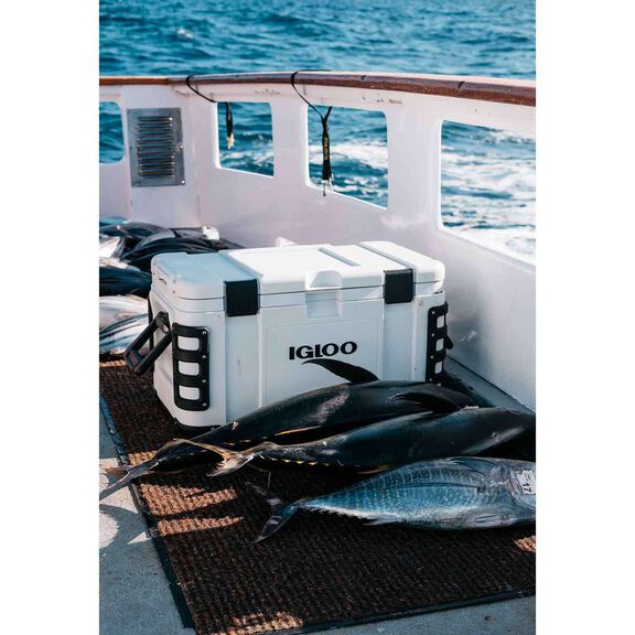 50 qt. Leeward Cooler image number 4
