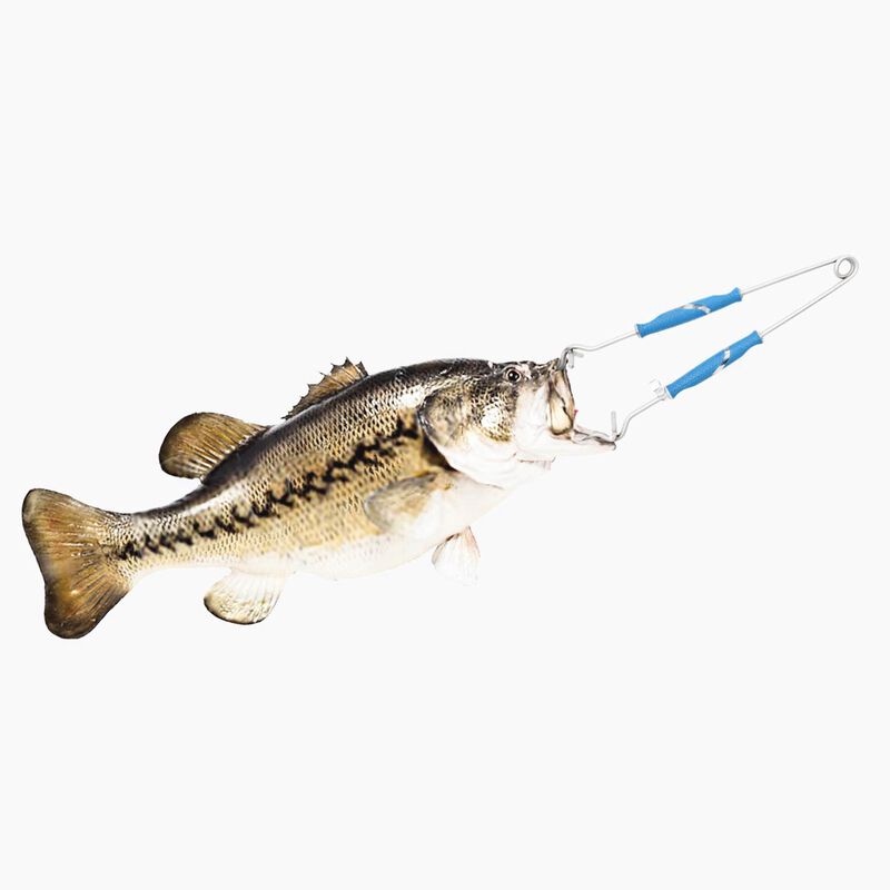 CUDA Stainless Steel Freshwater Jaw Spreaders West Marine