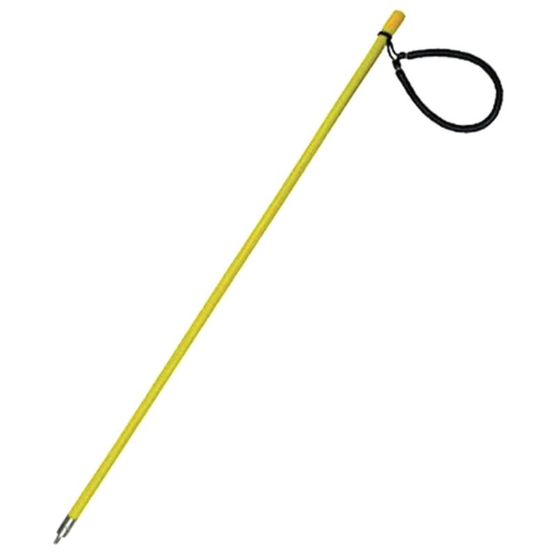 TRIDENT DIVING EQUIPMENT 28" Lionfish Polespear w/6mm End and Sling West Marine