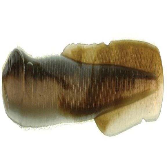 Gulp! Alive!&reg; Saltwater Eel image number 0