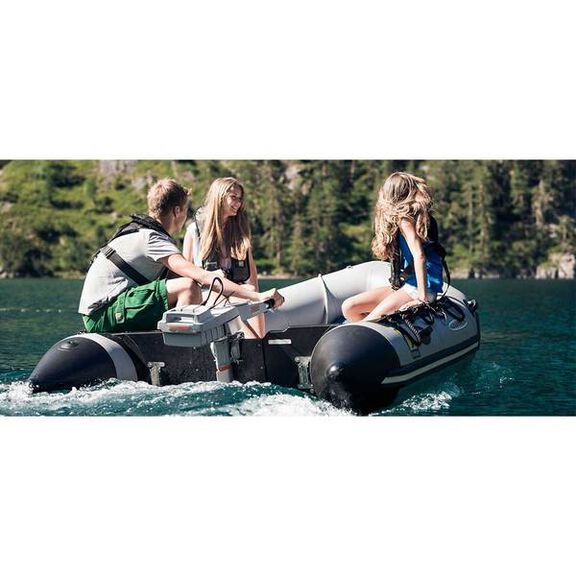 Blocked/Recalled List 4-5-21 --Travel 1003 Electric Outboard, Long Shaft image number 1