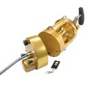 International&reg; VI 70VISW Detachable Hooker Electric Conventional Reel, Gold image number 0