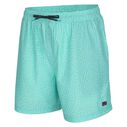 Men's Palapa Turing Volley Shorts image number 0