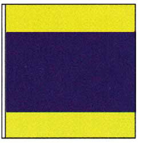 Code of Signals Flag (D) image number 0
