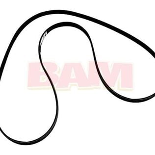 Quicksilver Serpentine Belt 57-865615Q07