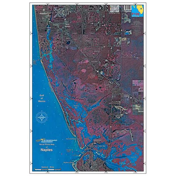 Naples, Florida Laminated Map image number 0